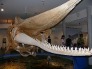 2013-08-08_055