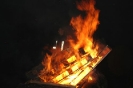 BF-Tag 2010