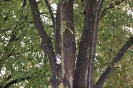 2010-10-16_021