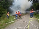 2013-07-13_076