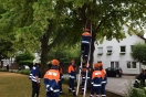 BF-Tag 2019_12